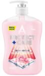 Astonish Sapun Lichid Antibacterian Protect+ Care Flori de Bujori, 600 ml, Astonish