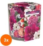 LCA Set 3 x Lumanare Parfumata in Pahar Imprimat, Floral Inspiration, 22 Ore (GIL-3xLCA-SN72S-30)