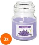 LCA Set 3 x Lumanare Parfumata in Pahar cu Capac Lavanda, 28 Ore (GIL-3xLCA-SND71-79)