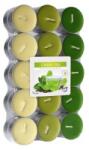 LCA Lumanari Pastila, 4 Ore, Ceai Verde, 30 Bucati (LCA-P30-83)