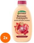 Garnier Set 2 x Sampon Garnier Botanic Therapy, Sirop de Artar & Ulei de Ricin, pentru Par Fragil cu Tendinta de Cadere, 400 ml