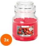 LCA Set 3 x Lumanare Parfumata in Pahar cu Capac Capsuni, 28 Ore (GIL-3xLCA-SND71-73)