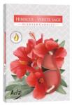 LCA Lumanari Pastila, Hibiscus / Salvie Alba, 6 Bucati (LCA-P15-356)
