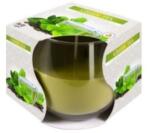 LCA Lumanare Parfumata in Pahar Green Tea, 18 Ore (LCA-SN71-83)