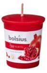 Bolsius Lumanare Parfumata Con, Bolsius, Rodie (LCA-TRU-LPCO-15-ROD-TS)