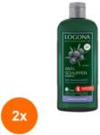 LOGONA Set 2 x Sampon Antimatreata cu Ulei de Ienupar BIO, 250 ml, Logona