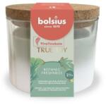 Bolsius Lumanare Parfumata cu Capac Pluta, Botanic Freshness, 66/83 mm, True Joy, Bolsius (LCA-TRU-LP66/83-63-TJ)