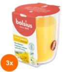 Bolsius Set 3 x Lumanare Parfumata in Pahar, Mimosa, Bolsius, 80 x 73 mm (GIL-3xLCA-TRU-LP-80-73-56)