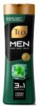Teo Sampon Teo Men 3 in 1, Menta, 350 ml