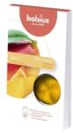 LCA Cipsuri din Parafina Parfumata - Mango - 6 Buc (LCA-TRU-CPS-10-TS)