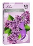 Bolsius Lumanari Pastila Liliac, 6 Bucati (LCA-PB15-51-LIL)