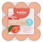 Bolsius Lumanare Pastila Bolsius, Piersica, Timp de Ardere 4 Ore, 18 Bucati (LCA-TRU-PT18-80-TS)