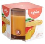 Bolsius Lumanare Parfumata Bolsius True Scents, in Pahar, Mango (LCA-TRU-LPB-95/95-10-TS)