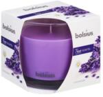 Bolsius Lumanare Parfumata Bolsius True Scents, in Pahar, Lavanda (LCA-TRU-LPB-95/95-77-TS)