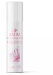 Argital Balsam de Buze, 5.7 ml, Argital (510)