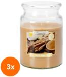 LCA Set 3 x Lumanare Parfumata in Borcan cu Capac Scortisoara, 100 Ore (GIL-3xLCA-SND99-65)