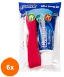 Banat Set 6 Pachete pentru Calatorie Banat: Mini Periuta de Dinti si Pasta de Dinti, cu Peri Medii, 15 ml (ROC-6XBANAT00020)