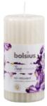 Bolsius Lumanare Stalp 120 x 58 mm Bolsius, Lavanda si Musetel (LCA-TRU-STP-120/58-76-TM)