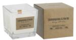 BISPOL Lumanare Parfumata in Pahar Transparent cu Fitil de Lemn, Bispol, LemonGrass-Herbs (LCA-SNK80-000-350)