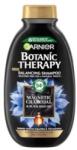 Garnier Sampon Garnier Botanic Therapy Magnetic Charcoal si Black Seed Oil, 250 ml