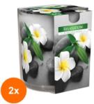 LCA Set 2 x Lumanare Parfumata in Pahar Imprimat, Relaxation, 22 Ore (GIL-2xLCA-SN72S-50)