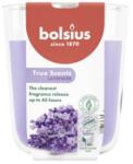 Bolsius Lumanare Parfumata in Pahar, Lavanda, Bolsius, 97 x 85 mm (LCA-TRU-LP-97-85-77)