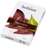 Bolsius Lumanari Pastila 4h Bolsius - Lemn de Oud - 6 Buc (LCA-TRU-PB15-70-OUD-TS)