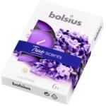 Bolsius Lumanari Pastila 4h Bolsius - Lavanda - 6 Buc (LCA-TRU-PB15-77-LAV-TS)