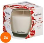 Bolsius Set 3 x Lumanare Parfumata Bolsius, in Pahar, True Get Cosy Mar Copt si Scortisoara (GIL-3xLCA-TRU-LPB-95/95-97-TM)