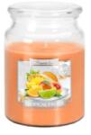 LCA Lumanare Parfumata in Borcan cu Capac, Fructe Tropicale, 100 Ore (LCA-SND99-71)