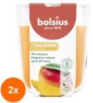 Bolsius Set 2 x Lumanare Parfumata in Pahar, Mango, Bolsius, 97 x 85 mm (GIL-2xLCA-TRU-LP-97-85-10)