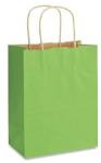 Bisbags Pungi din Hartie cu Manere, Verde Deschis, Interior Natur, 16 x 9 x 21 cm, 100 Bucati (BBG-PK652)