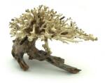 INVITAL Bonsai Driftwood 20 x 15 x 16 cm Nr. 10 (INZ06755)