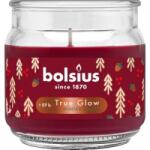 Bolsius Lumanare Parfumata in Pahar Mare, Winter Spices, Rosie, Bolsius (LCA-LP-CHR-100/98-99-WIN-R)