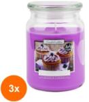LCA Set 3 x Lumanare Parfumata in Borcan cu Capac, Desert de Coacaze, 100 Ore (GIL-3xLCA-SND99-341)