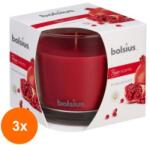 Bolsius Set 3 x Lumanare Parfumata Bolsius True Scents, in Pahar, Rodie (GIL-3xLCA-TRU-LPB-95/95-15-TS)