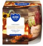 AURA Lumanare Parfumata in Pahar Imprimat, Halloween, Timp de Ardere 20 Ore, Aura (LCA-SN71S-466)