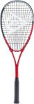 Dunlop Tristorm tour