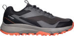 LOAP HORIZON 41