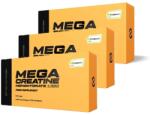 Scitec Nutrition - MEGA CREATINE MONOHYDRATE 1320 - 3 x 120 KAPSZULA