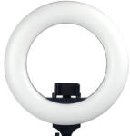 CARUBA Vlogger 12" LED körlámpa szett + táska (fekete) (LF R360 B)