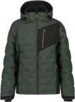 ICEPEAK Dickinson 50