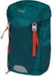 BAAGL Tracker verde