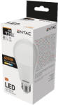 Avide Entac Led Globe E27 8W Nw 4000K (LLG27-8W-NW)