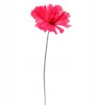 Goliat Krizantém, rózsaszín, művirág, 35cm, Goliat (CH-2/BRD)