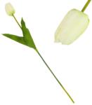  Szálas tulipán krém