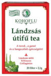  Kohoflu Lándzsás útifű filteres tea DR. CHEN - 20x2, 1g ( Kiszerelés: 20x2, 1g )