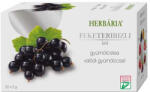 Herbária gyümölcstea Feketeribizli filteres - 20x ( Kiszerelés: 20x )