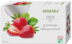 Herbária gyümölcstea Eper filteres ( Kiszerelés: 20x )