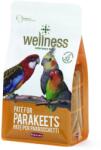 Padovan Wellness Paté for Parakeets Премиум пастет за папагали 600 гр